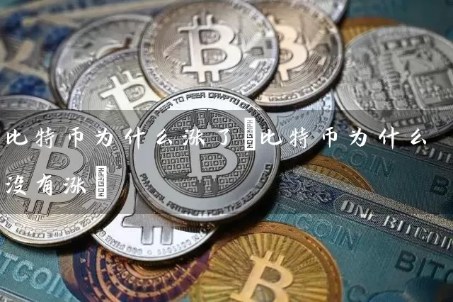 比特币为什么涨了(比特币为什么没有涨)