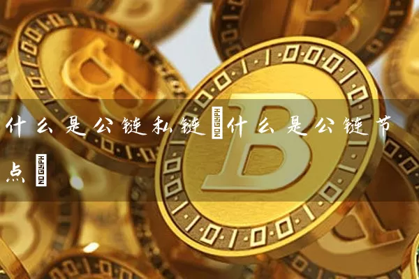 什么是公链私链(什么是公链节点)