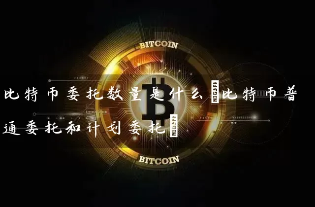 比特币委托数量是什么(比特币普通委托和计划委托)