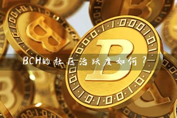 BCH的社区活跃度如何？