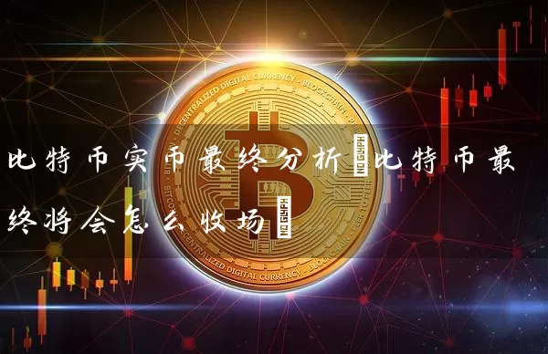 比特币实币最终分析(比特币最终将会怎么收场)