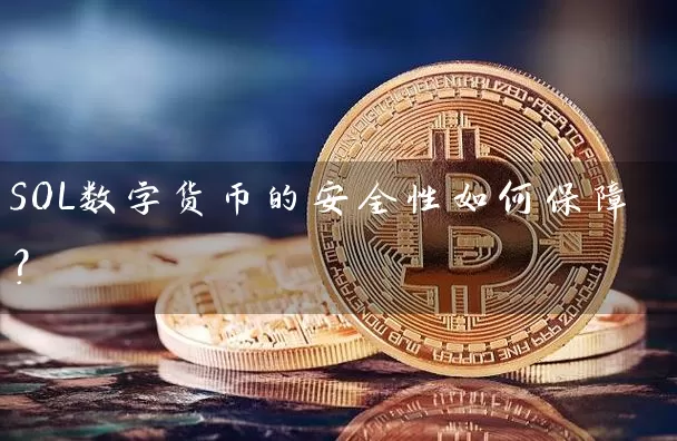 SOL数字货币的安全性如何保障？