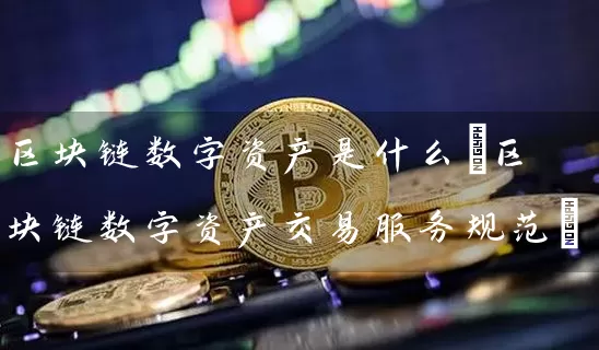 区块链数字资产是什么(区块链数字资产交易服务规范)