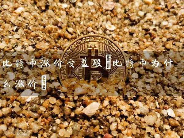 比特币涨价受益股(比特币为什么涨价)
