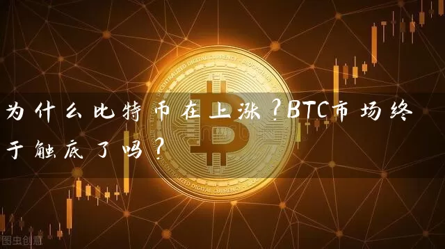 为什么比特币在上涨？BTC市场终于触底了吗？