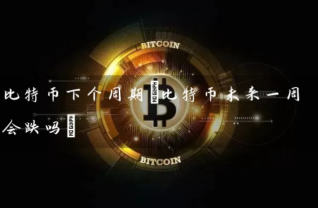 比特币下个周期(比特币未来一周会跌吗)
