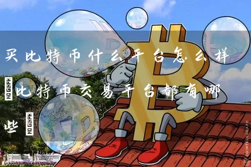 买比特币什么平台怎么样(比特币交易平台都有哪些)
