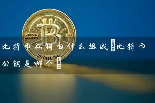 比特币私钥由什么组成(比特币公钥是哪个)