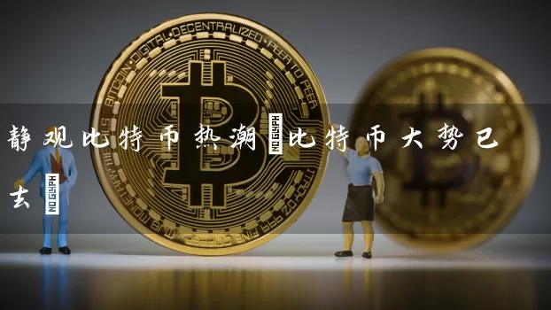 静观比特币热潮(比特币大势已去)