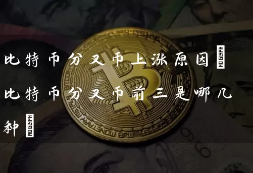 比特币分叉币上涨原因(比特币分叉币前三是哪几种)