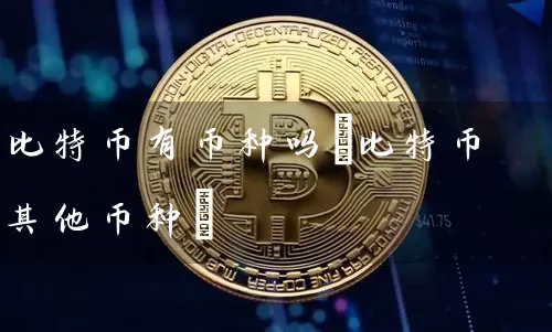 比特币有币种吗(比特币其他币种)