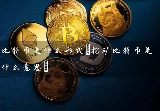 比特币是什么形式(挖矿比特币是什么意思)