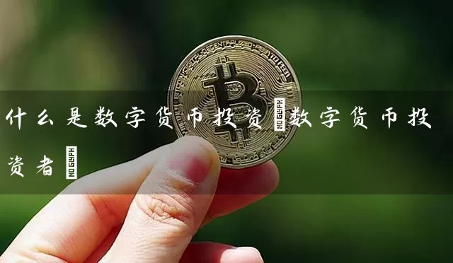 什么是数字货币投资(数字货币投资者)
