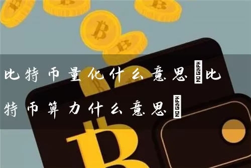 比特币量化什么意思(比特币算力什么意思)