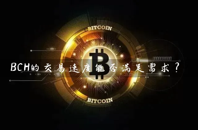 BCH的交易速度能否满足需求？