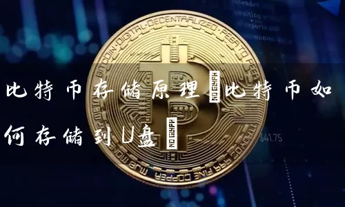 比特币存储原理(比特币如何存储到U盘)