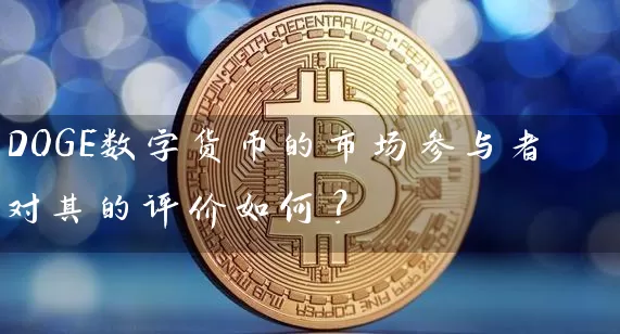 DOGE数字货币的市场参与者对其的评价如何？