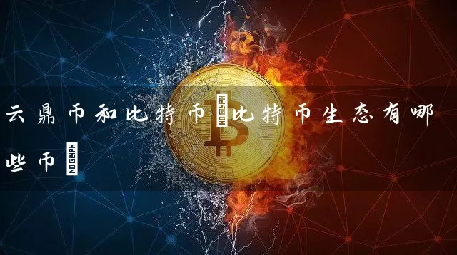 云鼎币和比特币(比特币生态有哪些币)