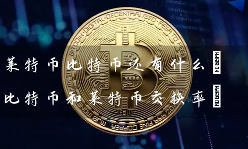 莱特币比特币还有什么(比特币和莱特币交换率)