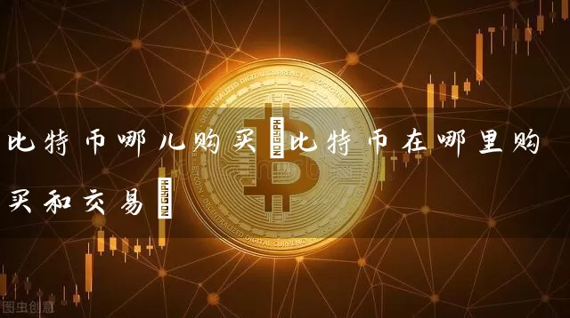比特币哪儿购买(比特币在哪里购买和交易)