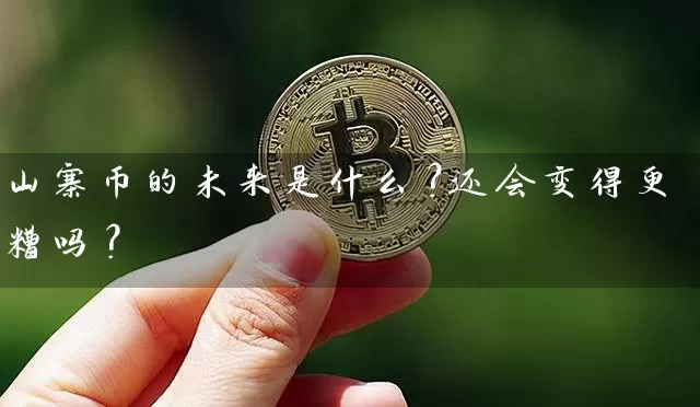 山寨币的未来是什么？还会变得更糟吗？