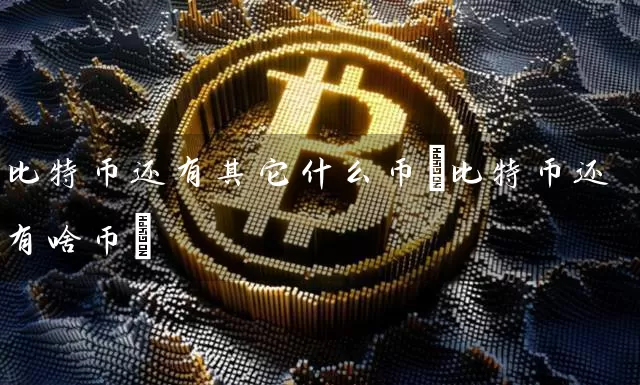 比特币还有其它什么币(比特币还有啥币)