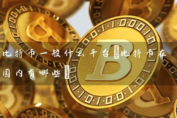 比特币一般什么平台(比特币在国内有哪些)