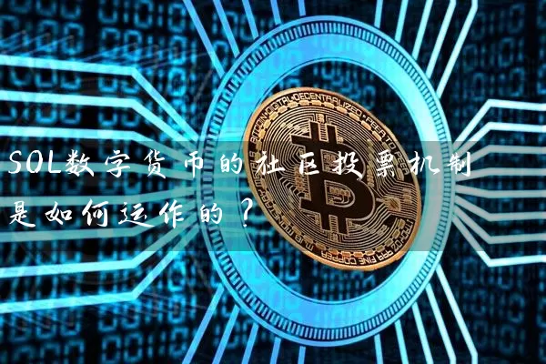 SOL数字货币的社区投票机制是如何运作的？
