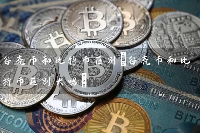谷壳币和比特币区别(谷壳币和比特币区别大吗)