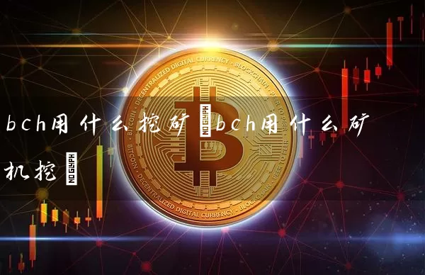 bch用什么挖矿(bch用什么矿机挖)