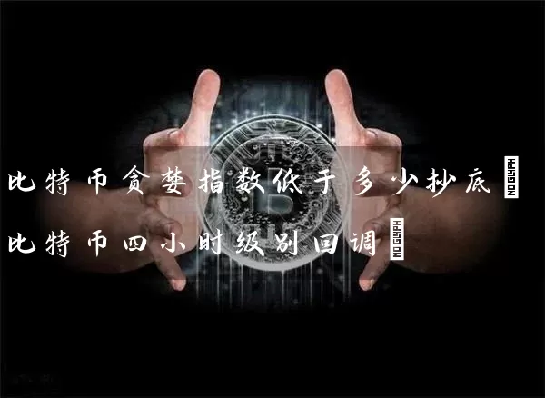 比特币贪婪指数低于多少抄底(比特币四小时级别回调)