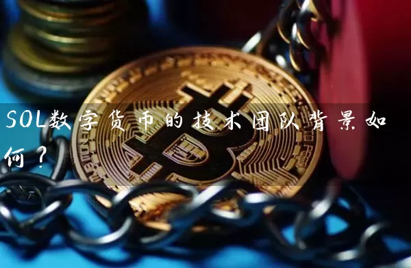SOL数字货币的技术团队背景如何？