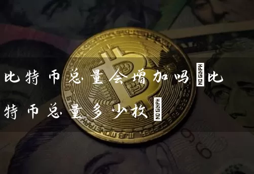 比特币总量会增加吗(比特币总量多少枚)