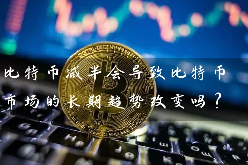 比特币减半会导致比特币市场的长期趋势改变吗？
