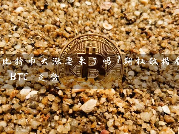 比特币大涨要来了吗？期权数据看 BTC 走势