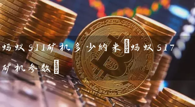 蚂蚁s11矿机多少纳米(蚂蚁s17矿机参数)