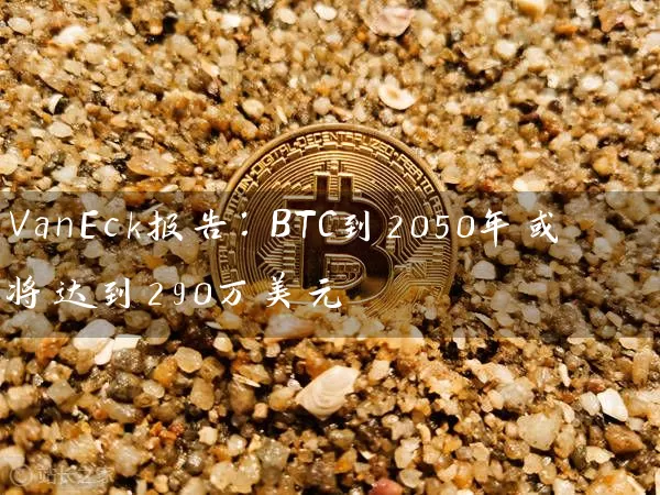 VanEck报告：BTC到2050年或将达到290万美元