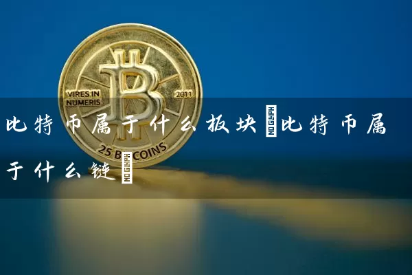比特币属于什么板块(比特币属于什么链)