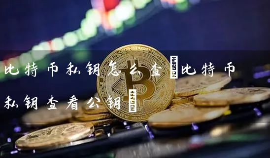 比特币私钥怎么查(比特币私钥查看公钥)