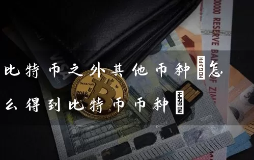 比特币之外其他币种(怎么得到比特币币种)