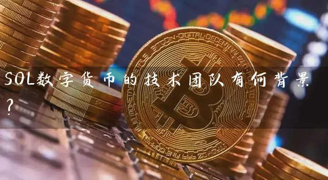 SOL数字货币的技术团队有何背景？