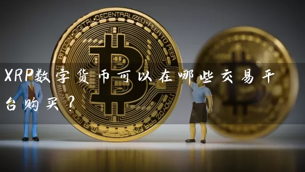 XRP数字货币可以在哪些交易平台购买？