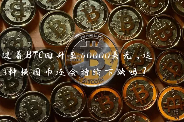 随着BTC回升至60000美元,这3种模因币还会持续下跌吗?