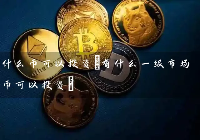 什么币可以投资(有什么一级市场币可以投资)