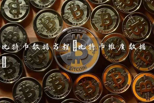 比特币数据方程(比特币维度数据)