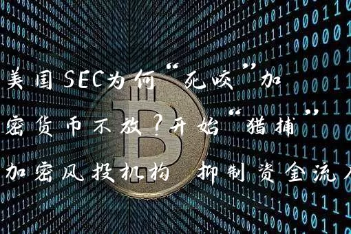 美国SEC为何“死咬”加密货币不放？开始“猎捕”加密风投机构 抑制资金流入？