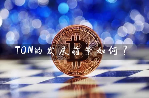 TON的发展前景如何？