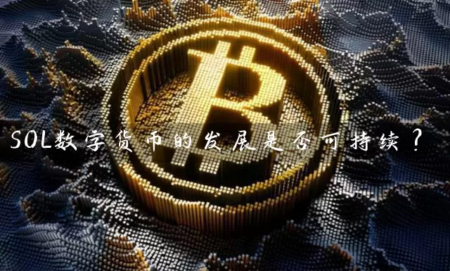 SOL数字货币的发展是否可持续？