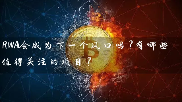RWA会成为下一个风口吗？有哪些值得关注的项目？