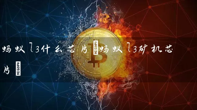 蚂蚁l3什么芯片(蚂蚁l3矿机芯片)